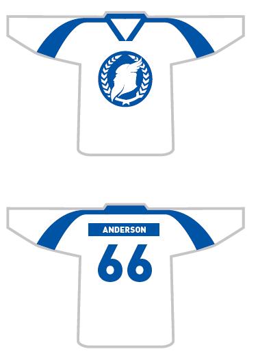 teamandersonanalyticsodintext1